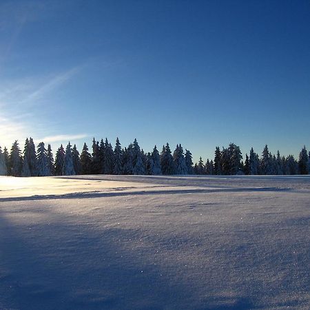 Apartments Rogla Зрече Екстер'єр фото