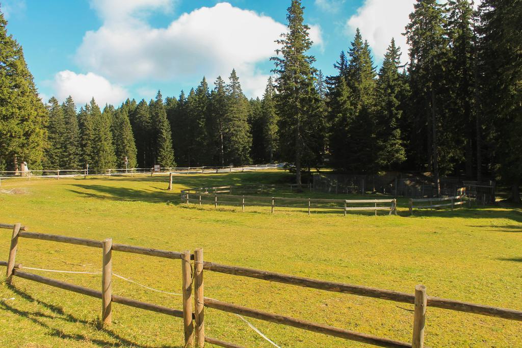 Apartments Rogla Зрече Екстер'єр фото
