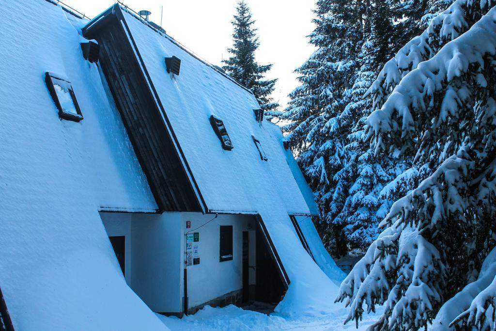 Apartments Rogla Зрече Екстер'єр фото